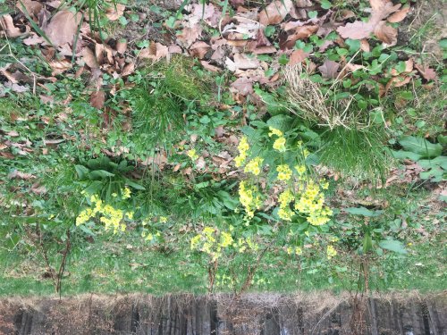 Datei 02.04.17 23 39 44.jpeg